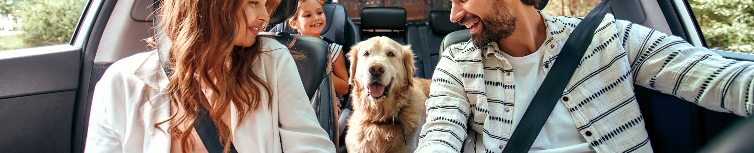 The whole family is driving for the weekend. Mom and Dad with their daughter and a Labrador dog are sitting in the car.