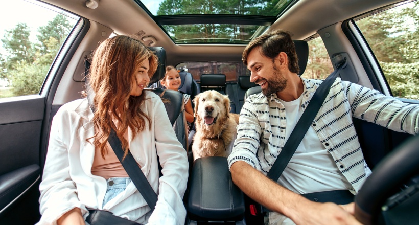 The whole family is driving for the weekend. Mom and Dad with their daughter and a Labrador dog are sitting in the car.
